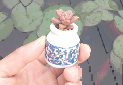 花盆买不起，自己动手做，好看又实用！