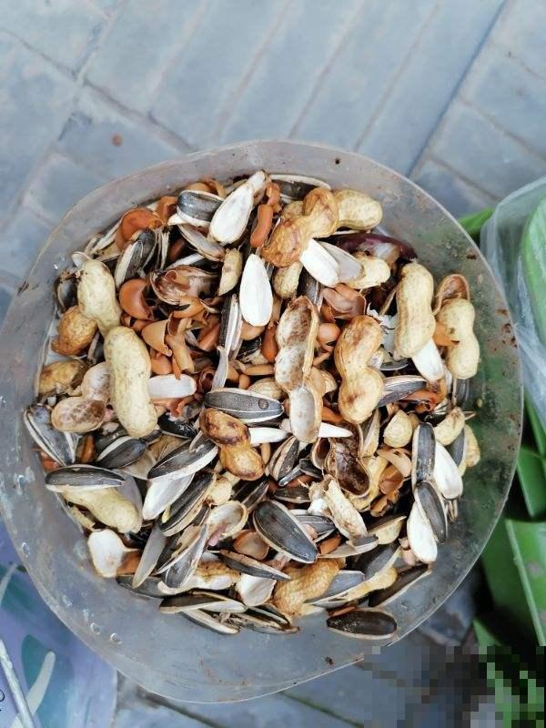 5种颗粒掺土里,养花不烂根,透水透气效果好 5种颗粒掺土里,养花不烂根,透水透气效果好