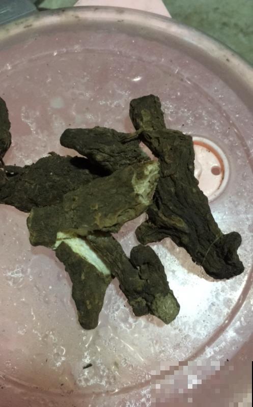 药店里很贵的玄参，自家花盆就种满，省了老多钱！