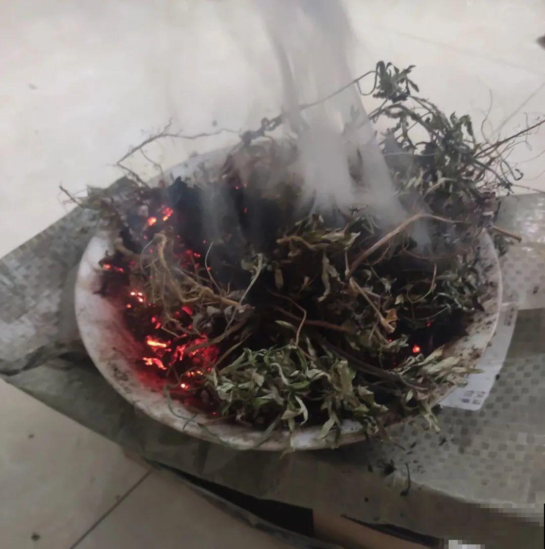 8种花夏天必须养,掐一把炒菜特别香,清热去火不中暑! 8种花夏天必须养,掐一把炒菜特别香,清热去火不中暑!
