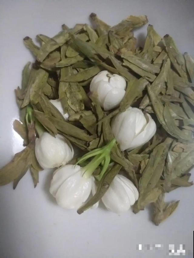 超耐晒的茉莉花,30℃高温照样开,满屋子都是香气! 超耐晒的茉莉花,30℃高温照样开,满屋子都是香气!