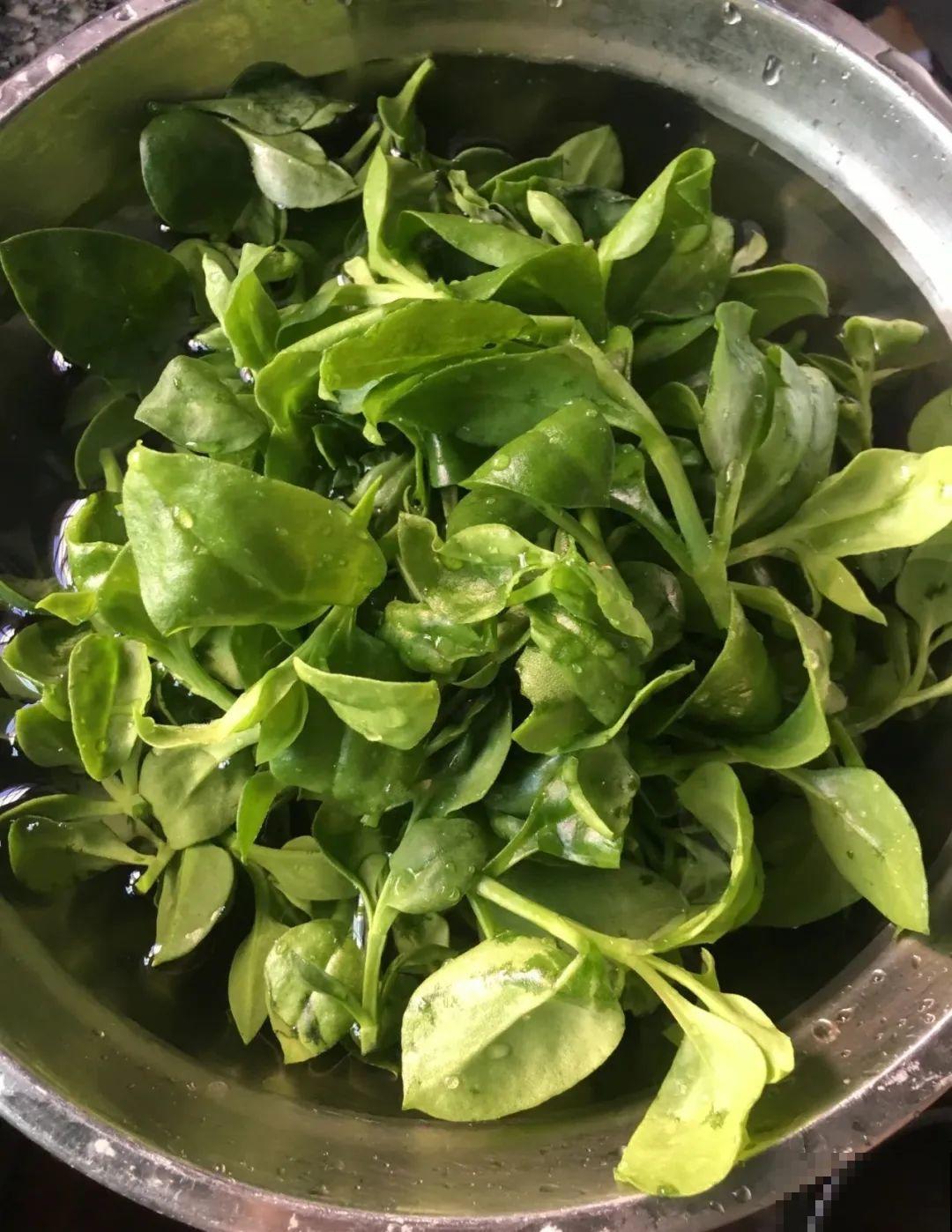 8种花夏天必须养,掐一把炒菜特别香,清热去火不中暑! 8种花夏天必须养,掐一把炒菜特别香,清热去火不中暑!
