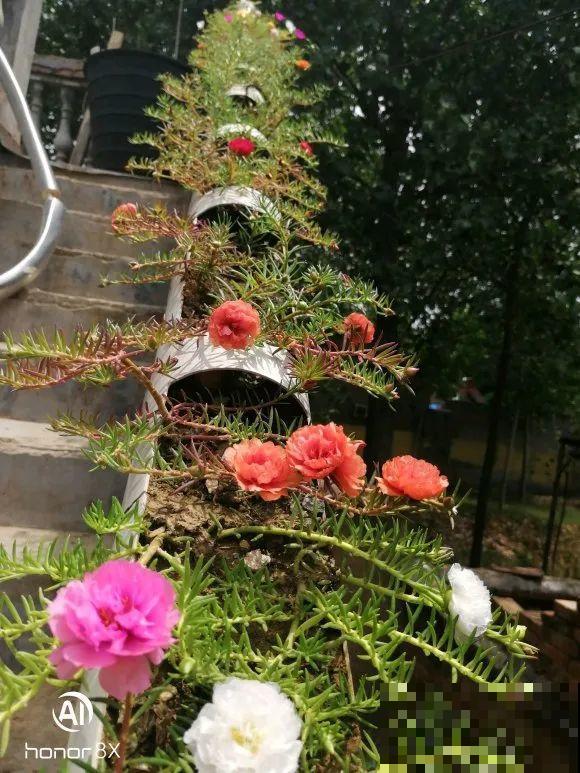 塑料瓶、油桶,养花做造型,真是绝了! 塑料瓶、油桶,养花做造型,真是绝了!