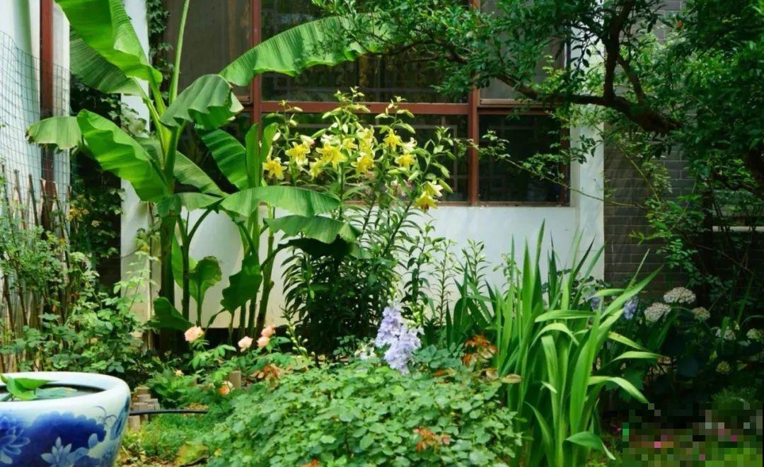 寻一方小院，建一处花园，养花喝茶一辈子！