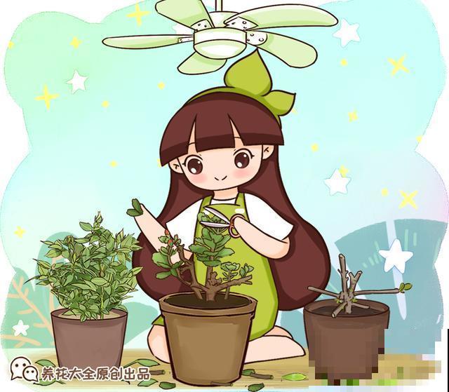 花出现黄叶打蔫，千万别扔，还能救回来！