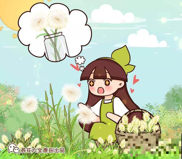 20块钱1把的花,城里人抢着要,农村特常见,别再花冤枉钱了! 20块钱1把的花,城里人抢着要,农村特常见,别再花冤枉钱了!