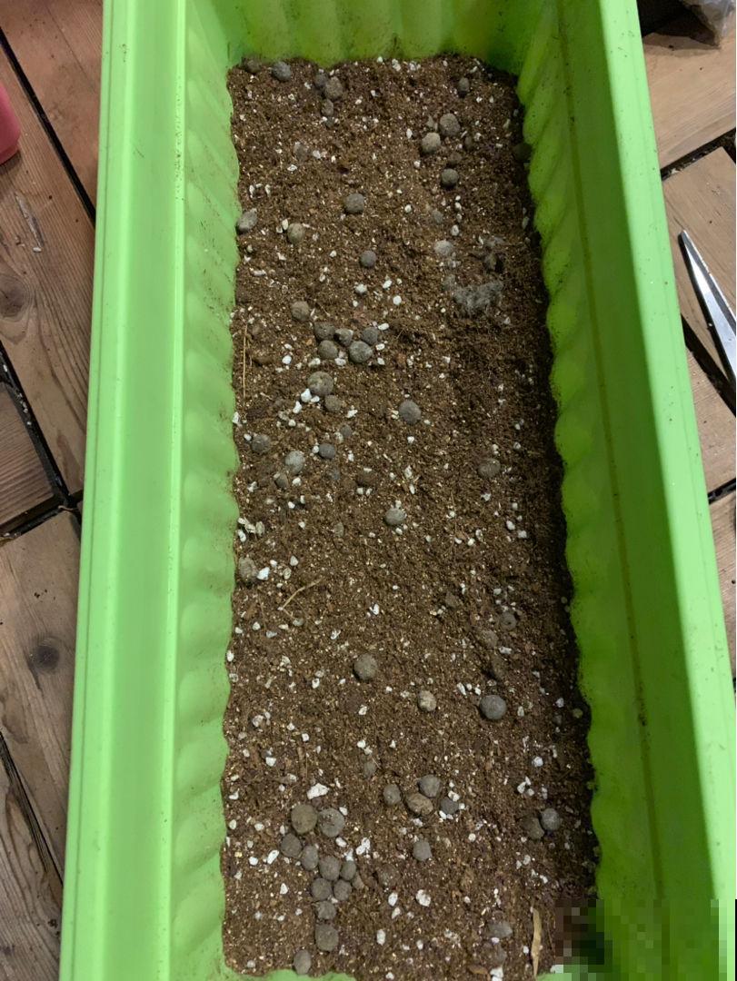 养花施肥是关键,合理使用氮磷钾肥,花才能长得好 养花施肥是关键,合理使用氮磷钾肥,花才能长得好