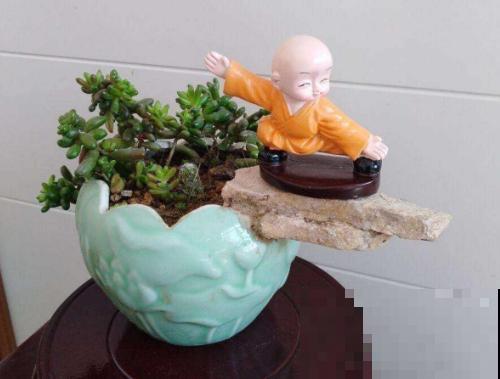 垃圾桶里捡酒瓶，种上多肉，高雅有气质！