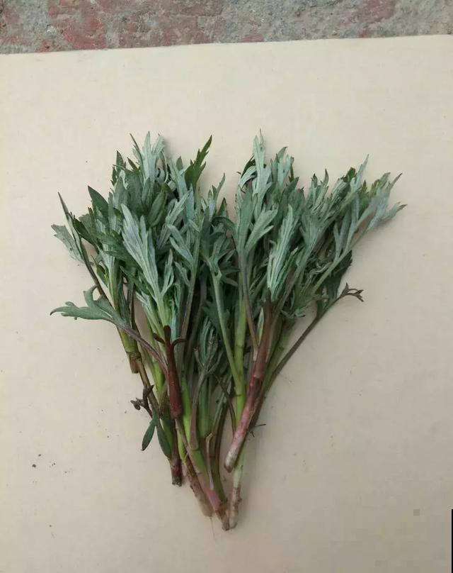 饭桌上不常见的野菜，吃过的人是少数，农村人才认识！