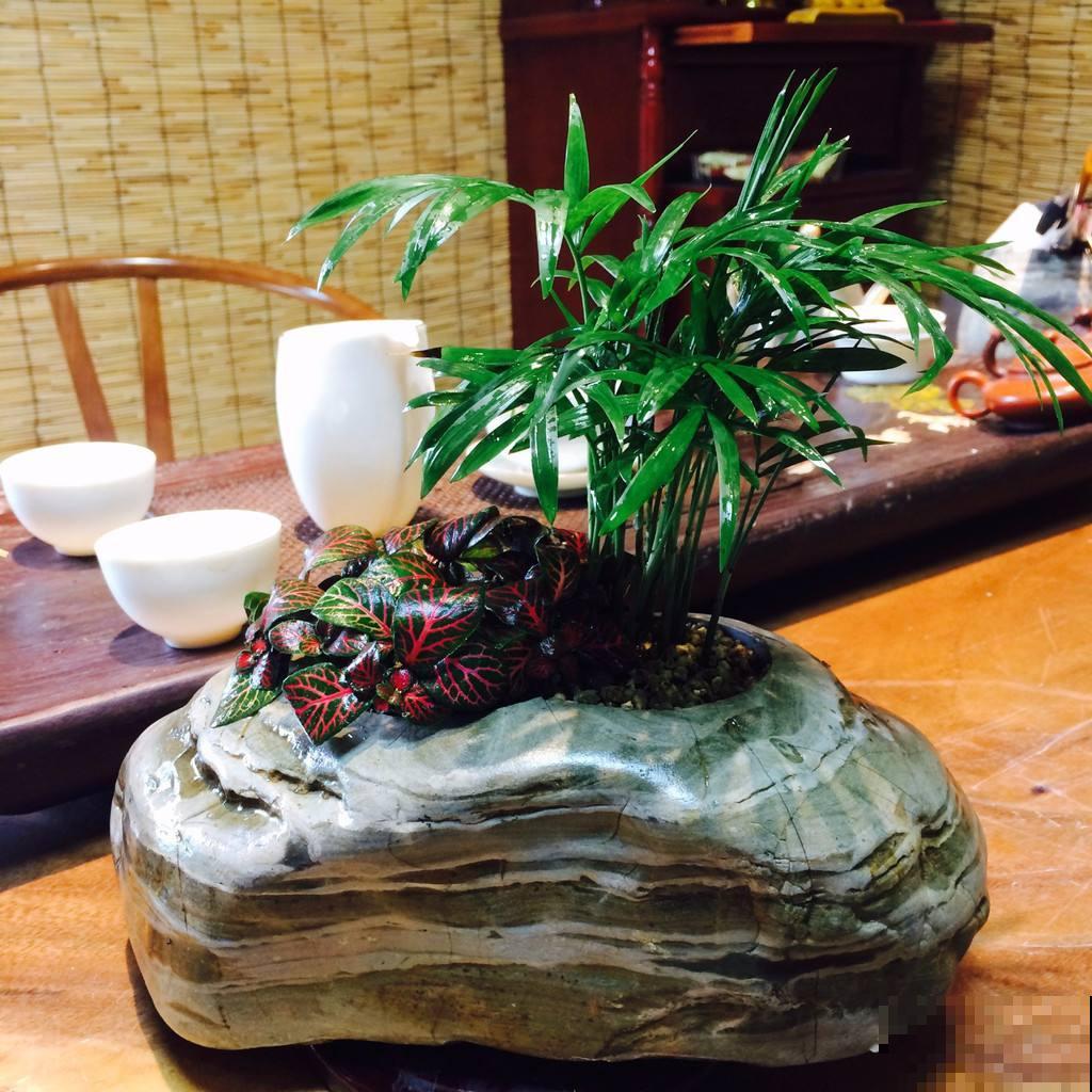 花盆买不起，自己动手做，好看又实用！