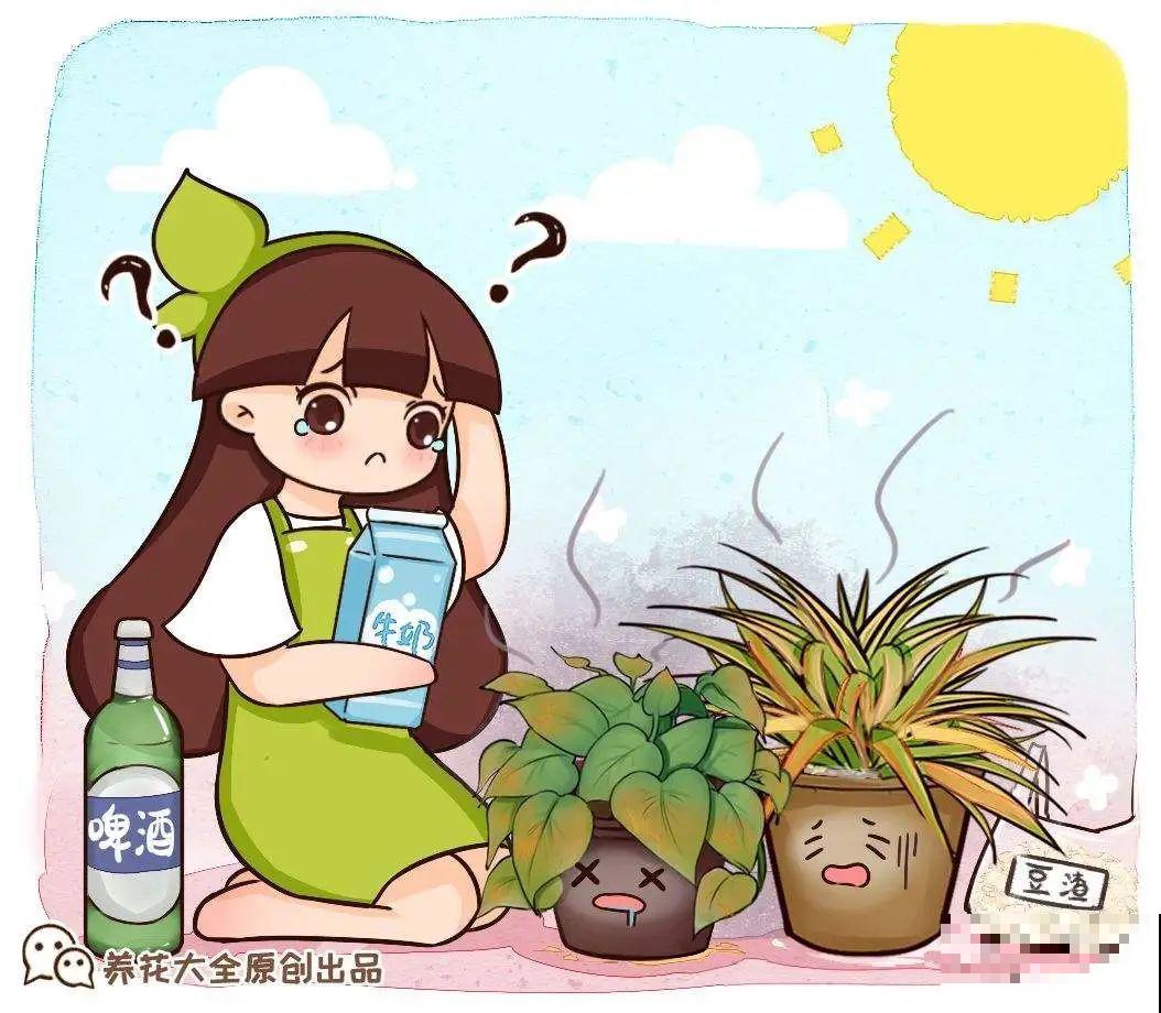 5种“有毒”水，千万不能浇花，浇一盆死一盆！