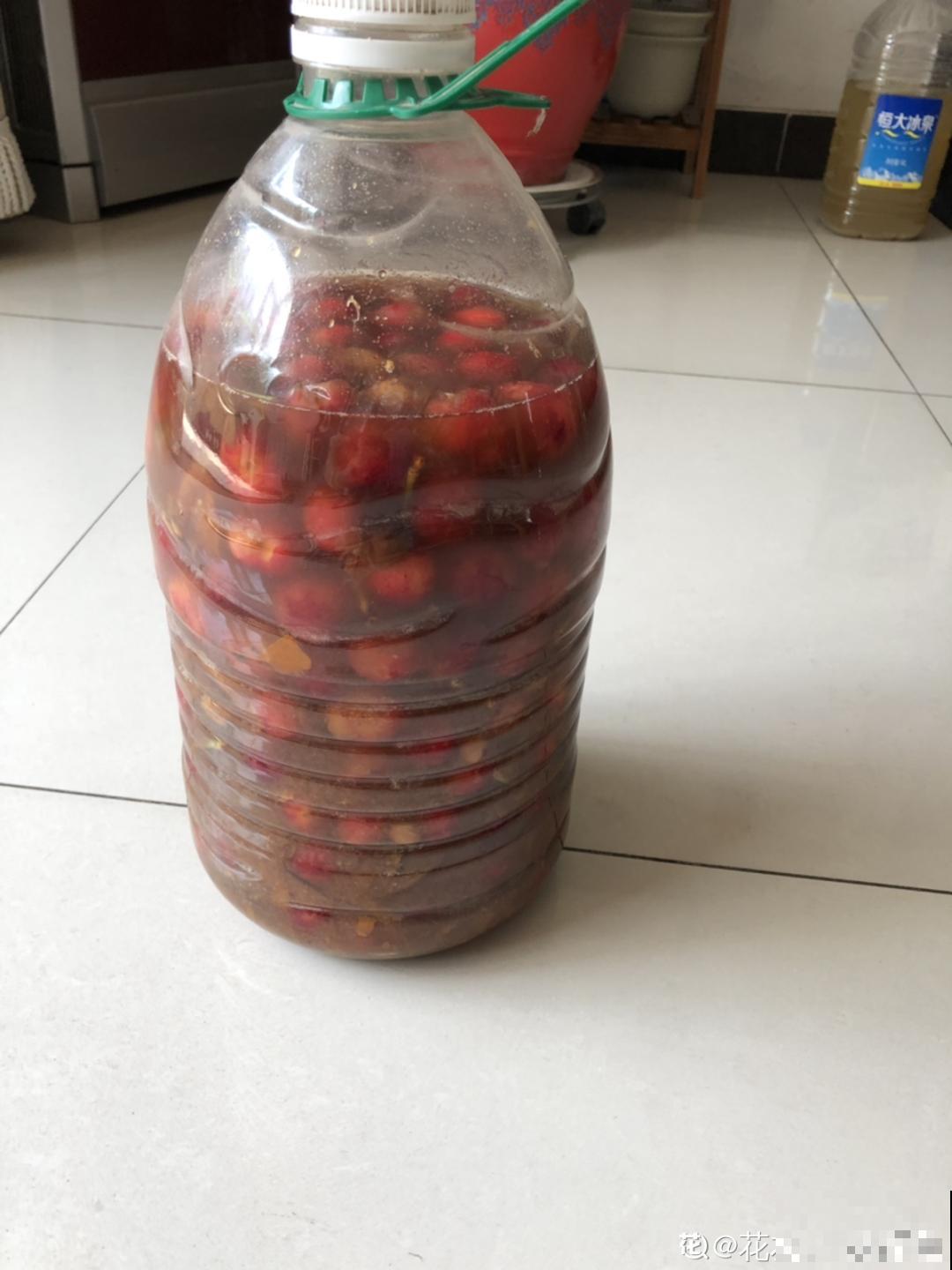 9种花真是老酒鬼，5天一小杯，叶子绿得像打蜡！