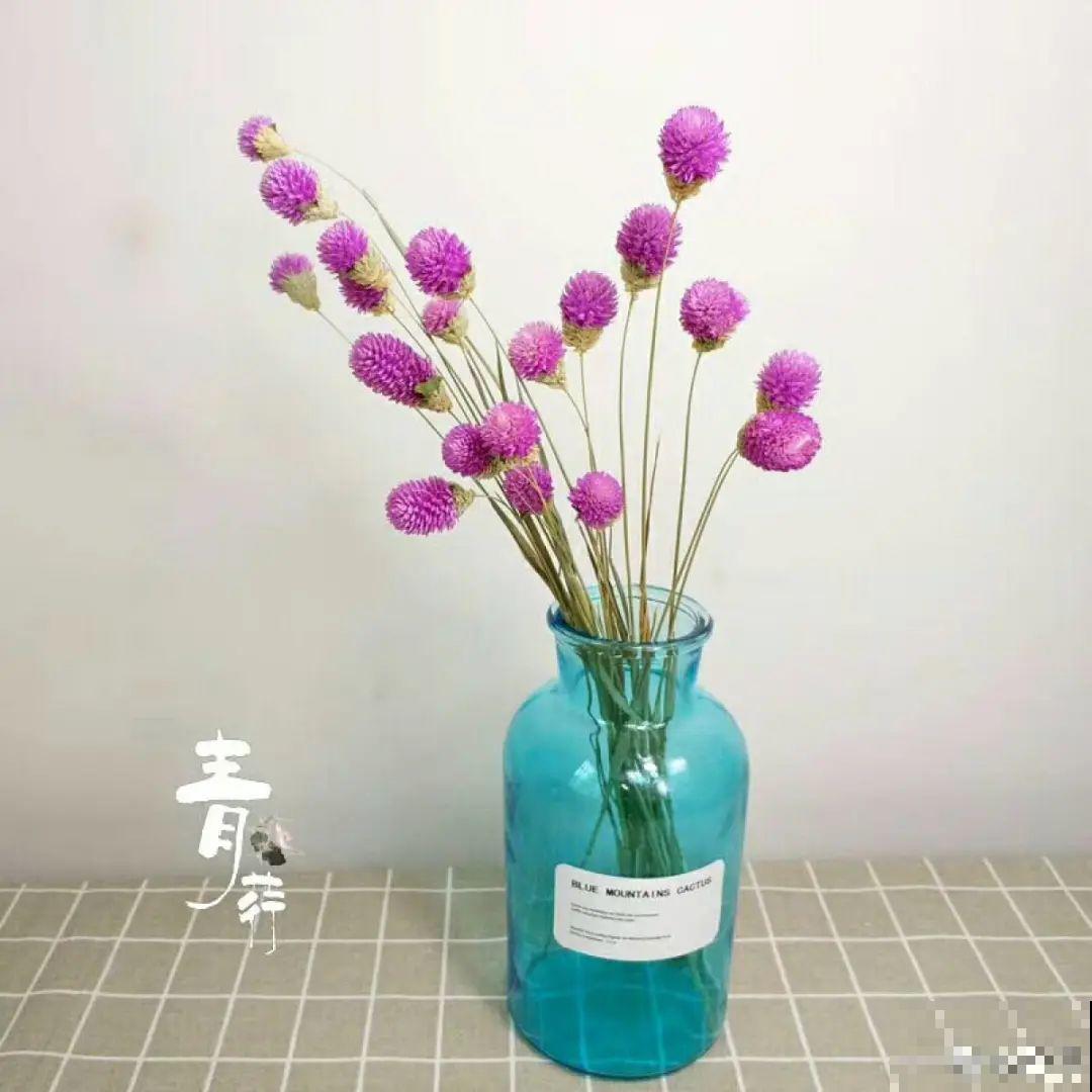 这20种花，晒不死、热不死，天热一直狂开花！