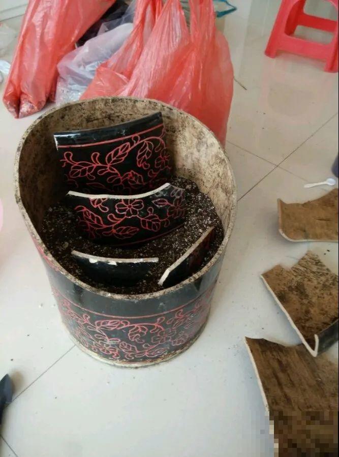 高价花盆扔一地，捡到手软，回家种花美炸了！