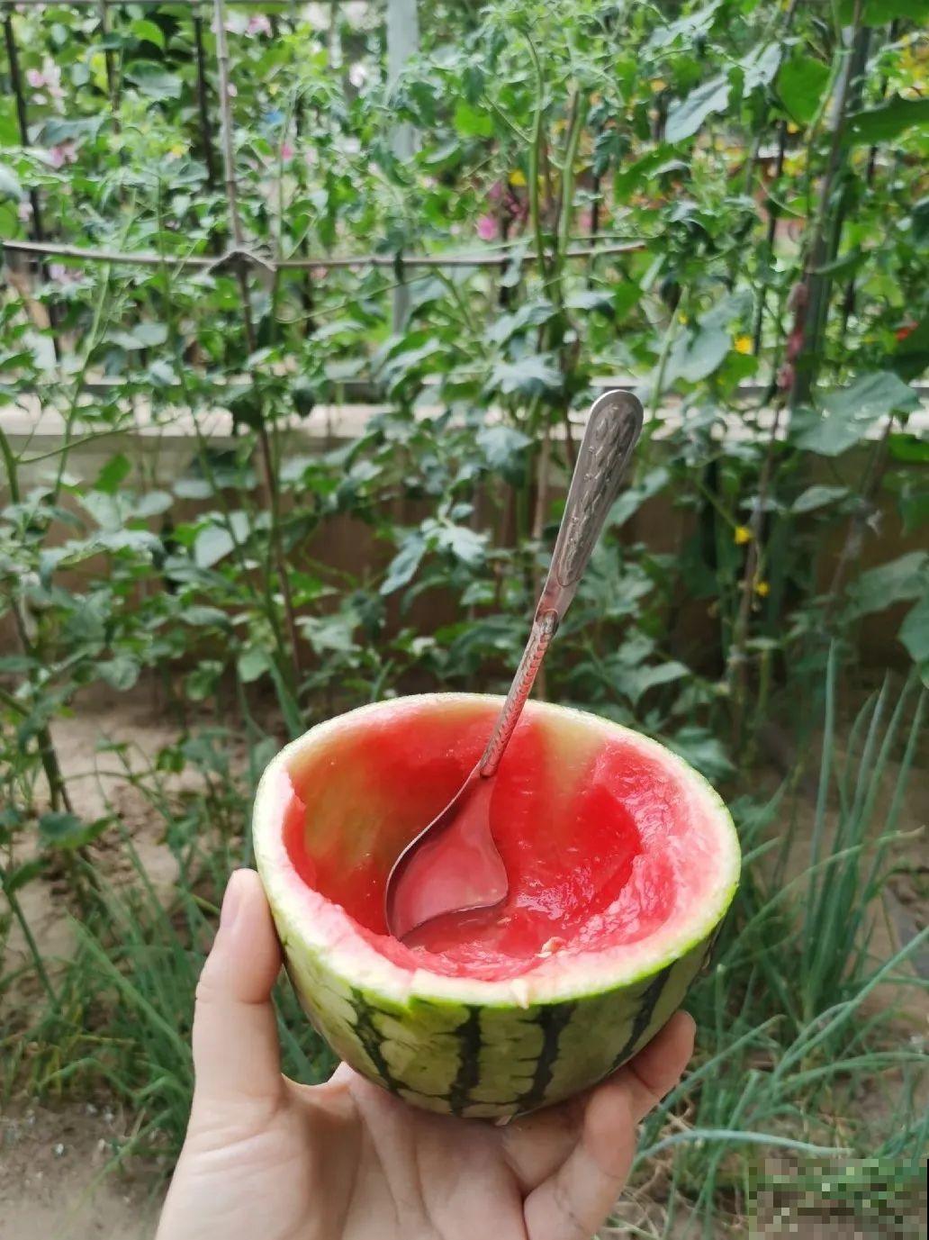 我想回农村,院子里养花、种菜,过清闲日子 我想回农村,院子里养花、种菜,过清闲日子