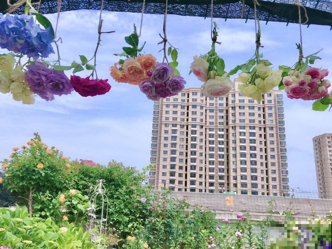 快死的鲜花别急着扔,绳子一绑倒挂起来,两周变成文艺干花 快死的鲜花别急着扔,绳子一绑倒挂起来,两周变成文艺干花