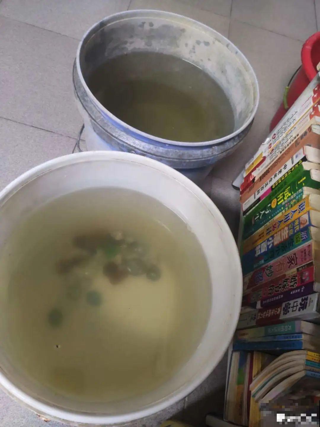 夏天养花,这3种事千万别做,否则黄叶又烂根! 夏天养花,这3种事千万别做,否则黄叶又烂根!