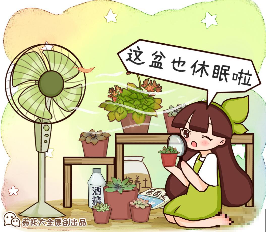 花一变这样，就是休眠了，赶紧换个地方养！