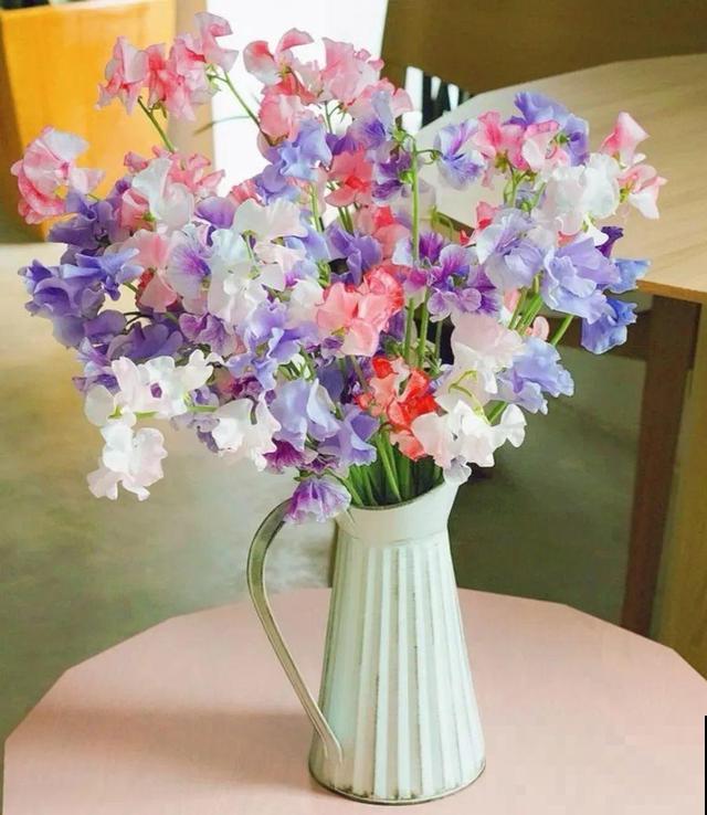 活的“香水花”，开一朵，家里香气飘飘！