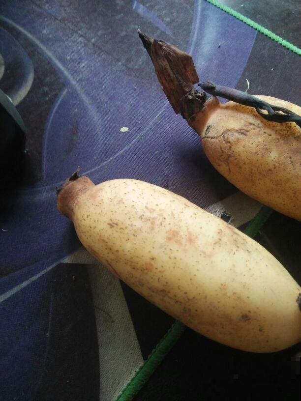 3种开胃小菜，5分钟就能做好，开胃下饭越吃越香！