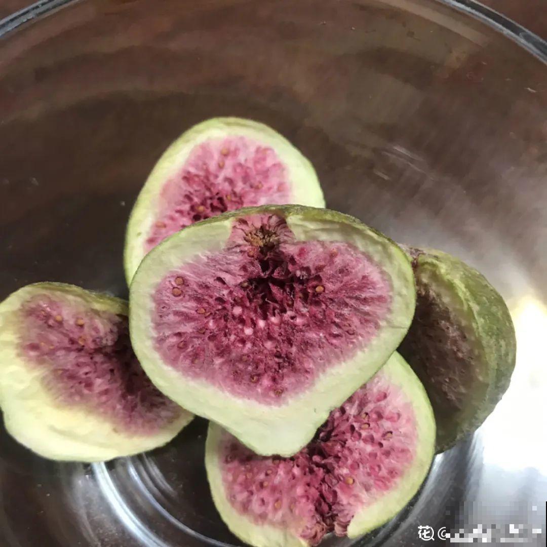 家里养棵桑葚，夏天结果满树都是，咬一口甘甜美味！