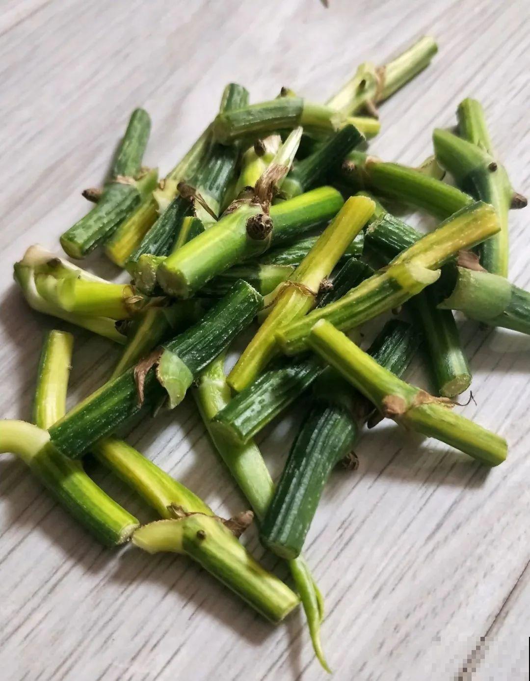 1根绳子扯一下，枝条冒出20个芽，一不小心拉断了！