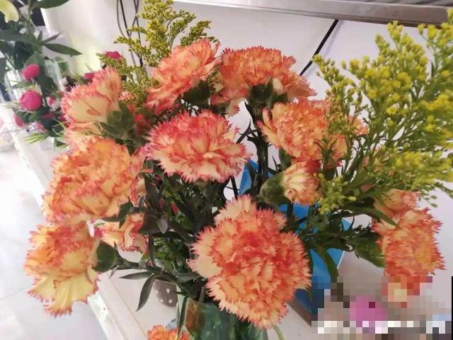 活的“香水花”，开一朵，家里香气飘飘！