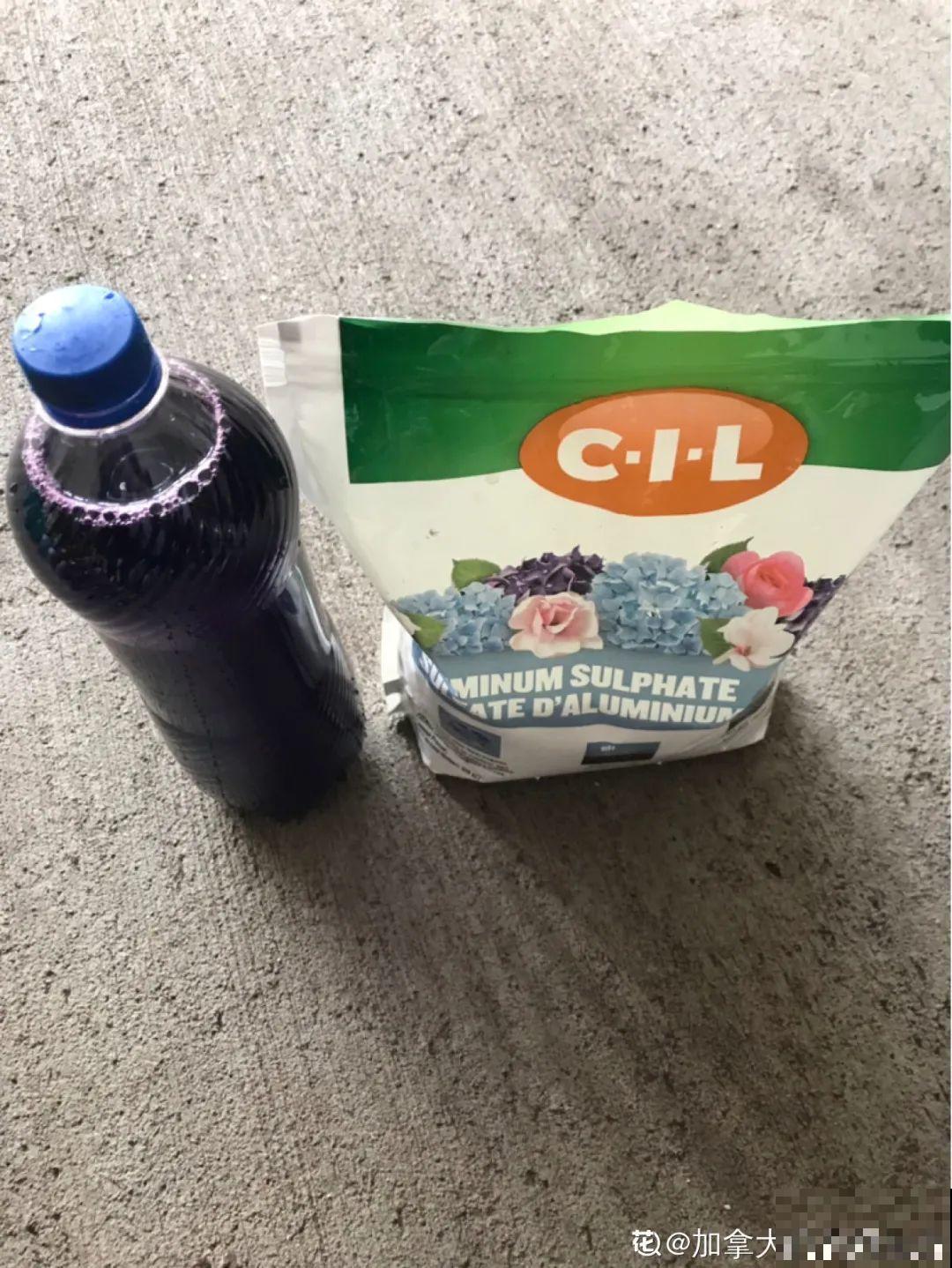 给花喷点杀菌水,叶子斑点全消灭,花越长越旺! 给花喷点杀菌水,叶子斑点全消灭,花越长越旺!