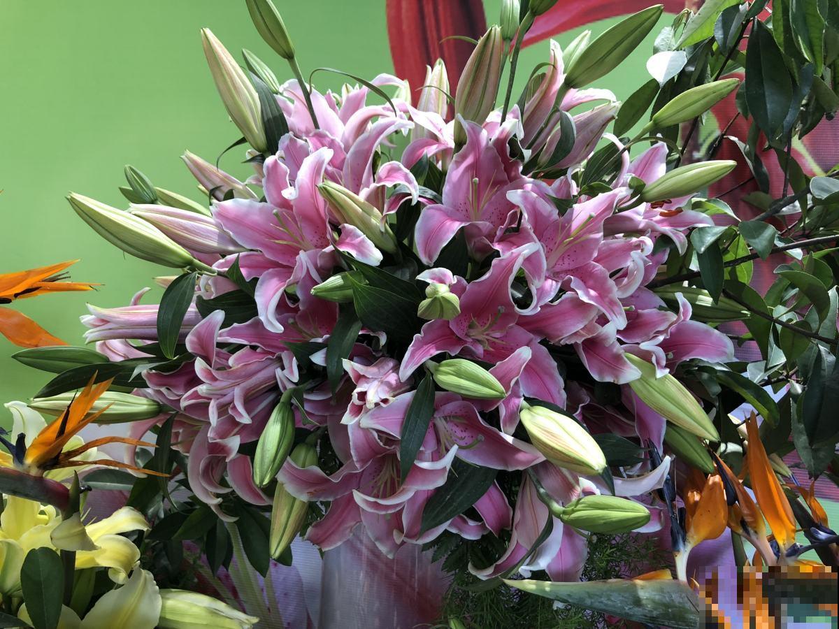 快死的鲜花别急着扔,绳子一绑倒挂起来,两周变成文艺干花 快死的鲜花别急着扔,绳子一绑倒挂起来,两周变成文艺干花