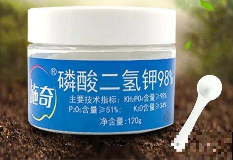 磷酸二氢钾是好东西,花黄叶掉苞,喷一喷立马变好 磷酸二氢钾是好东西,花黄叶掉苞,喷一喷立马变好