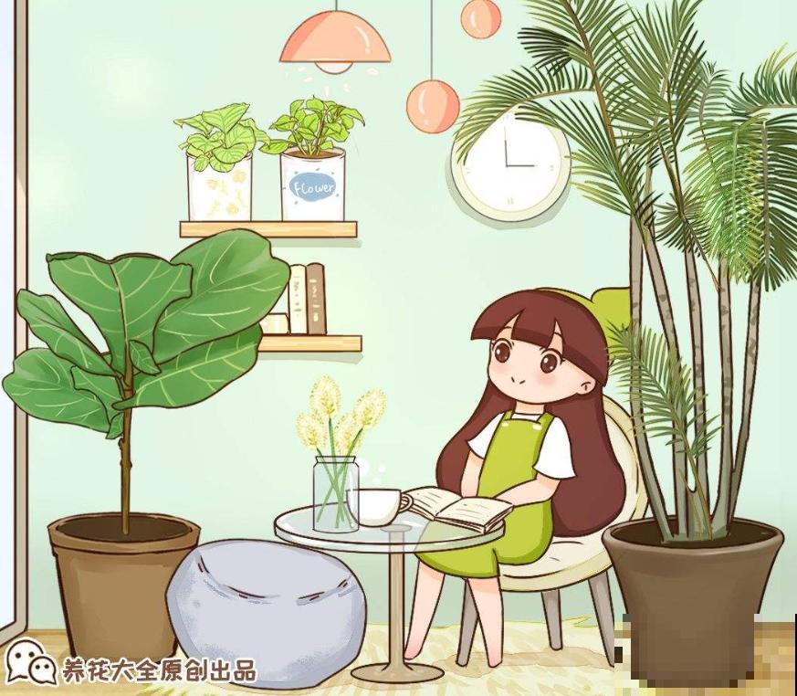 家里的花别乱摆，稍微讲究点，做个精致的养花人！