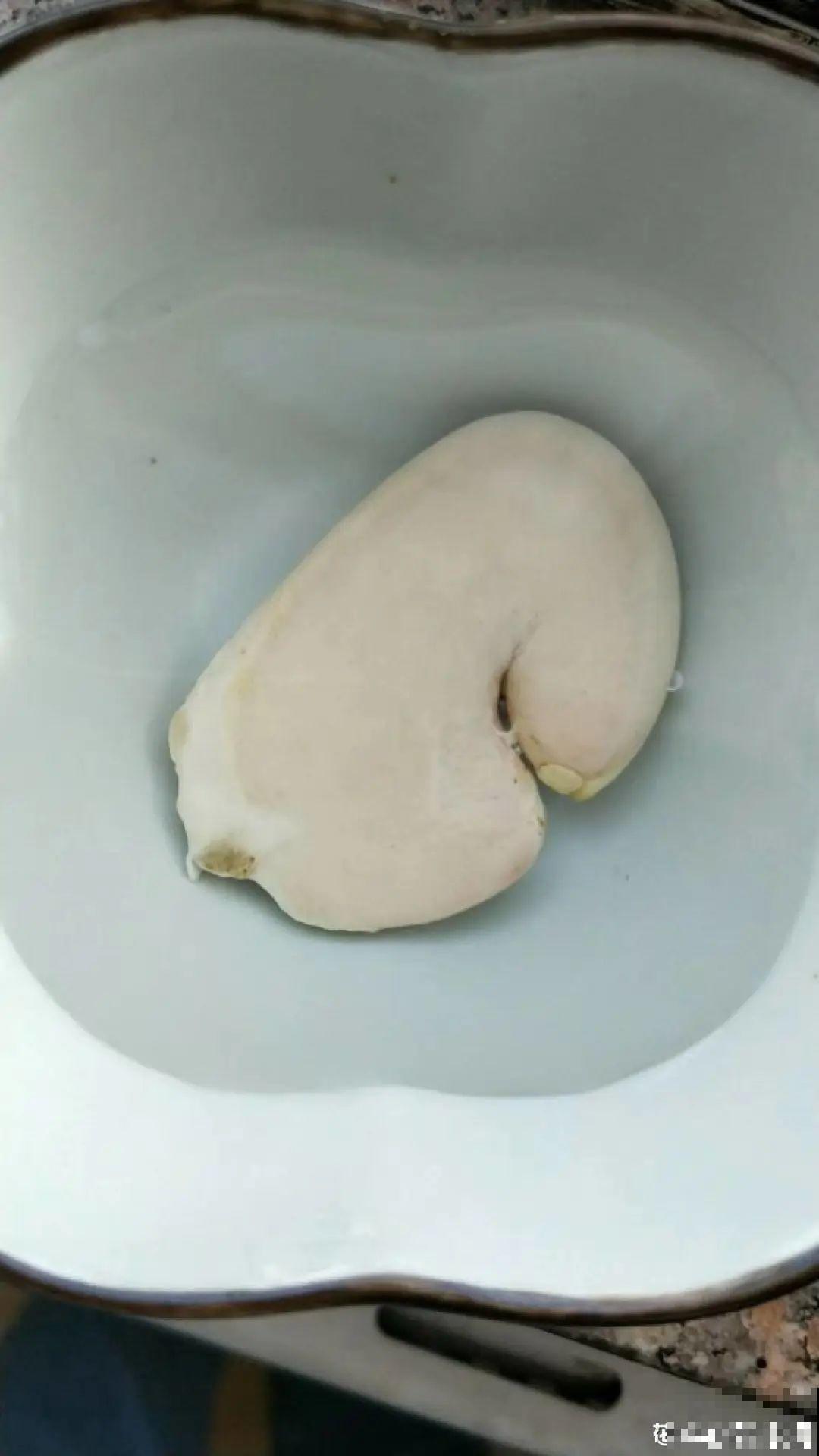 吃剩的果核不要丢,水里泡一泡,能变成清新小绿植! 吃剩的果核不要丢,水里泡一泡,能变成清新小绿植!