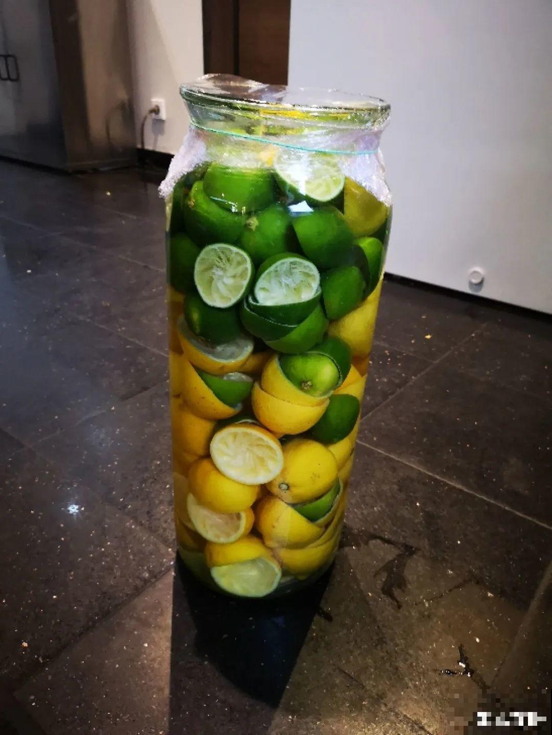 9种花真是老酒鬼，5天一小杯，叶子绿得像打蜡！
