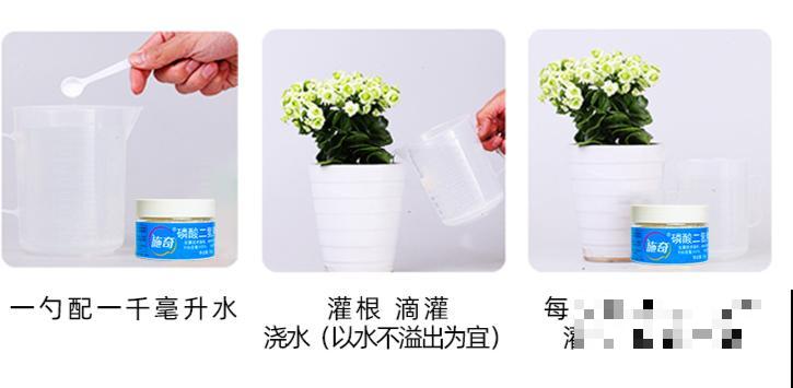 磷酸二氢钾是好东西,花黄叶掉苞,喷一喷立马变好 磷酸二氢钾是好东西,花黄叶掉苞,喷一喷立马变好