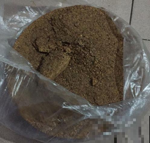 6种自制的有机肥，不花一分钱，开花效果猛翻倍！