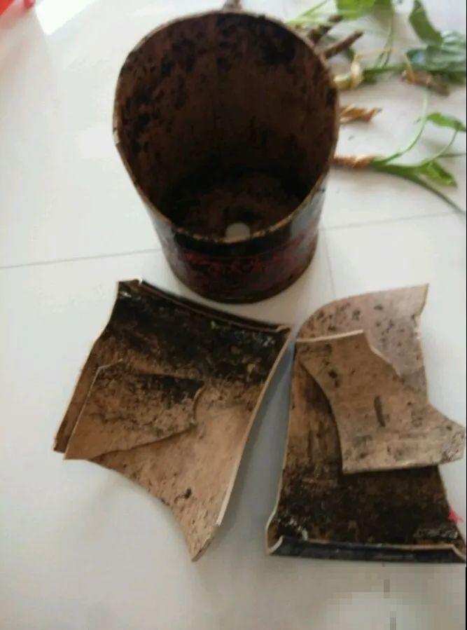 高价花盆扔一地，捡到手软，回家种花美炸了！
