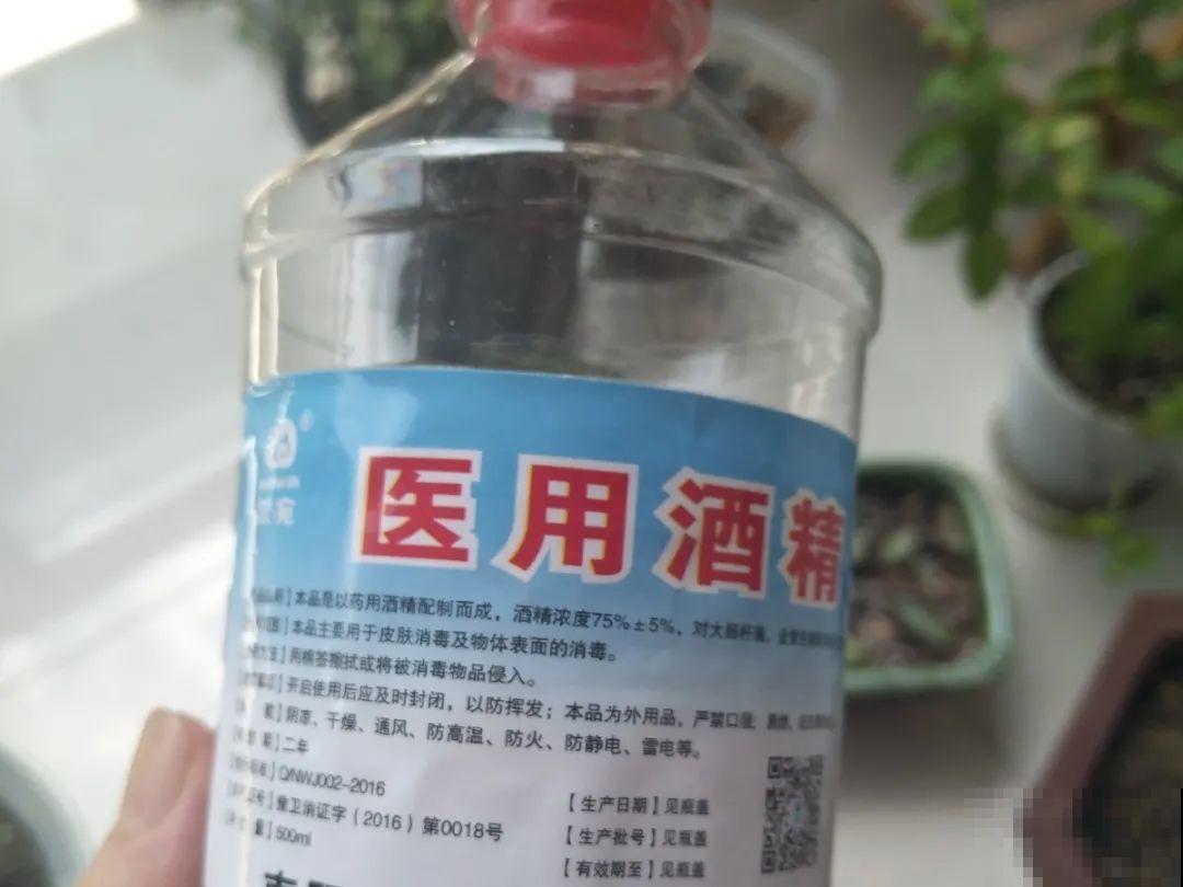 5种“有毒”水，千万不能浇花，浇一盆死一盆！