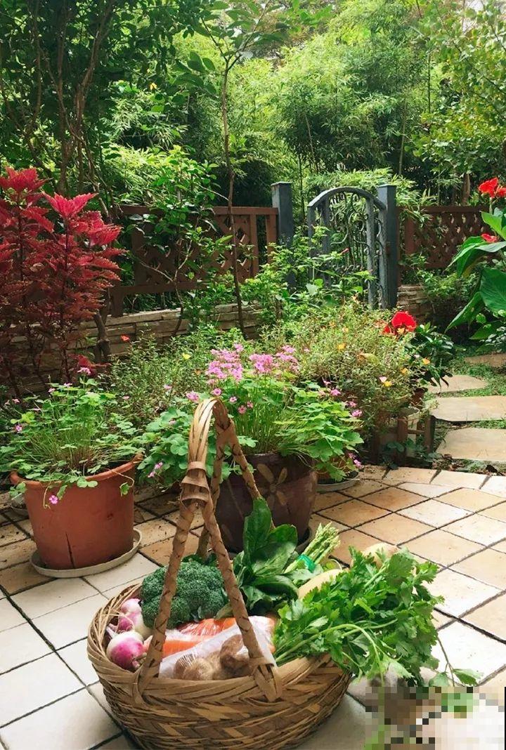 我想回农村,院子里养花、种菜,过清闲日子 我想回农村,院子里养花、种菜,过清闲日子