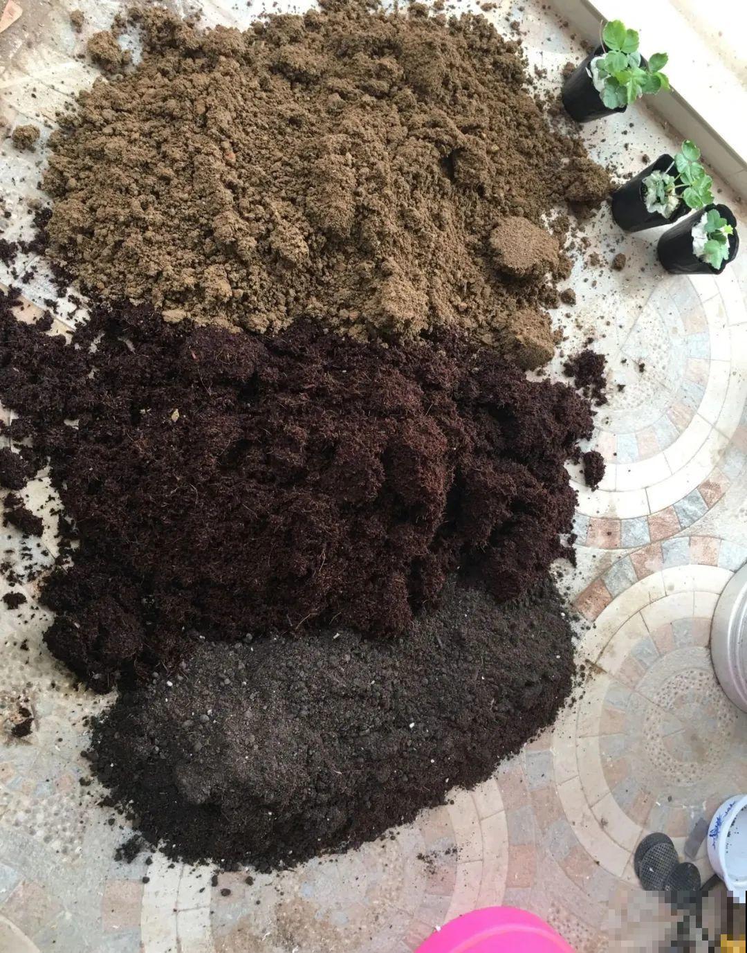 7种不起眼的小东西，拿来养花，根长得特壮