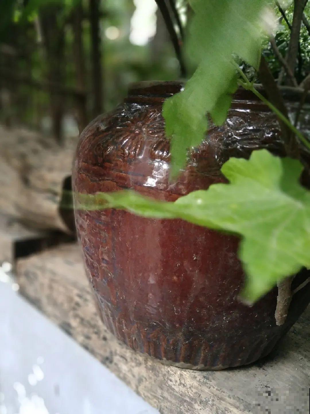 我想回农村,院子里养花、种菜,过清闲日子 我想回农村,院子里养花、种菜,过清闲日子