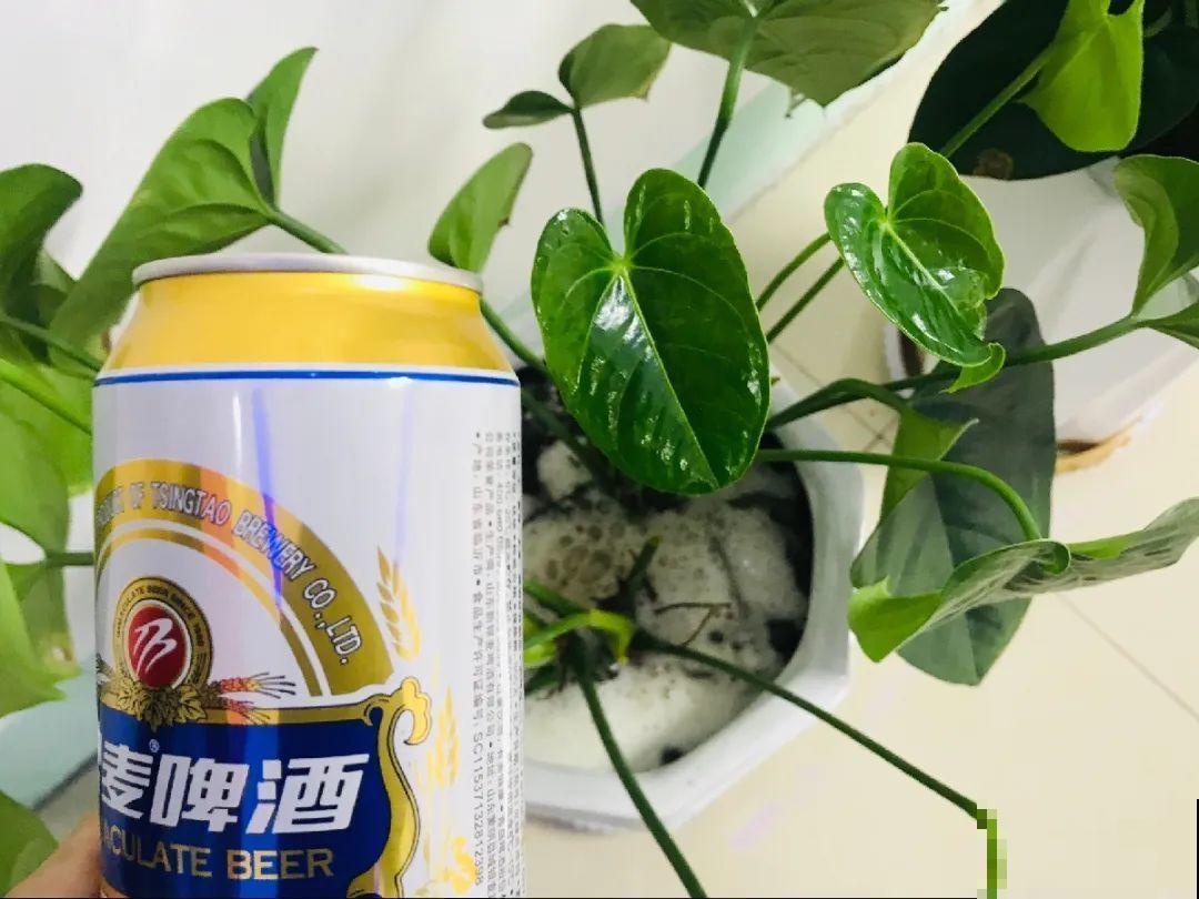 10种水有“毒”,夏天浇花,浇一盆死一盆! 10种水有“毒”,夏天浇花,浇一盆死一盆!