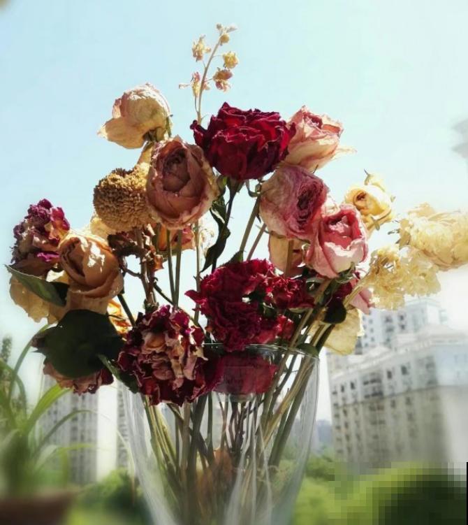 带花泥的花束,买回家这么养,看个3年没问题! 带花泥的花束,买回家这么养,看个3年没问题!