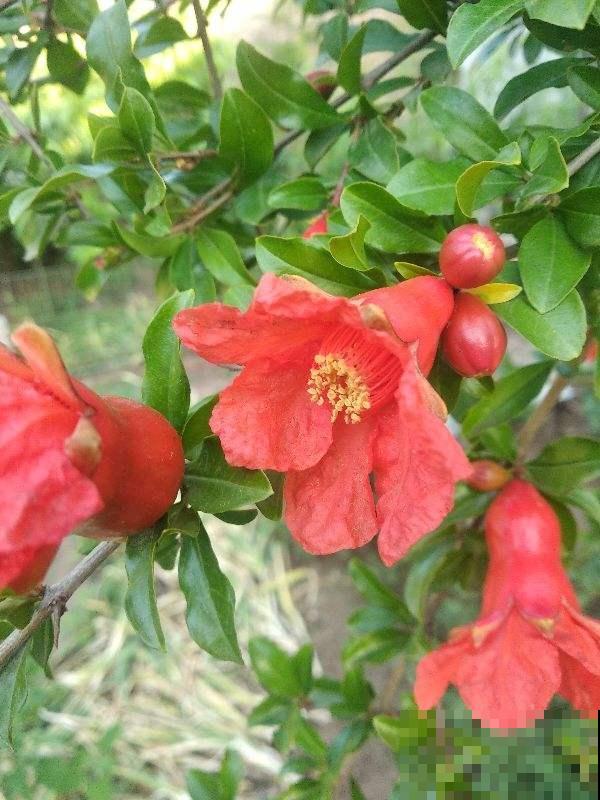 端午节的民俗,你知道哪些? 端午节的民俗,你知道哪些?