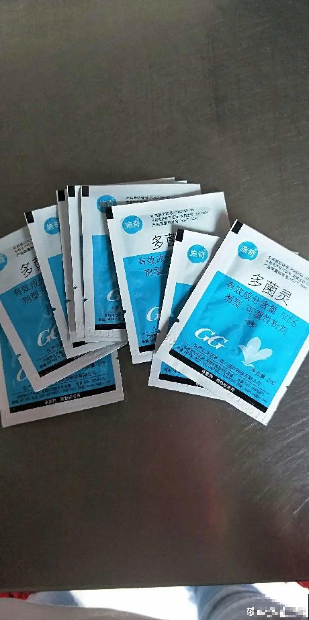 给花喷点杀菌水，叶子斑点全消灭，花越长越旺！