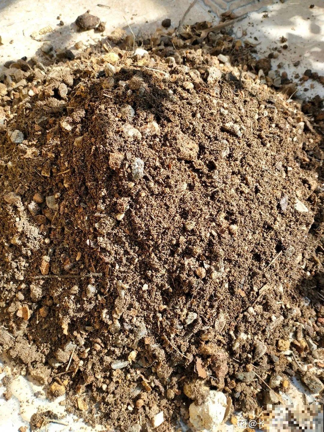 4种土,扔了也别养花,生虫烂根就是它! 4种土,扔了也别养花,生虫烂根就是它!