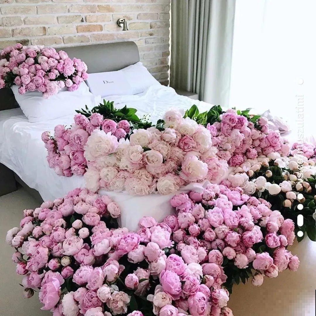 老外培育的芍药花，花苞比鸡蛋大，一朵能开一个月！