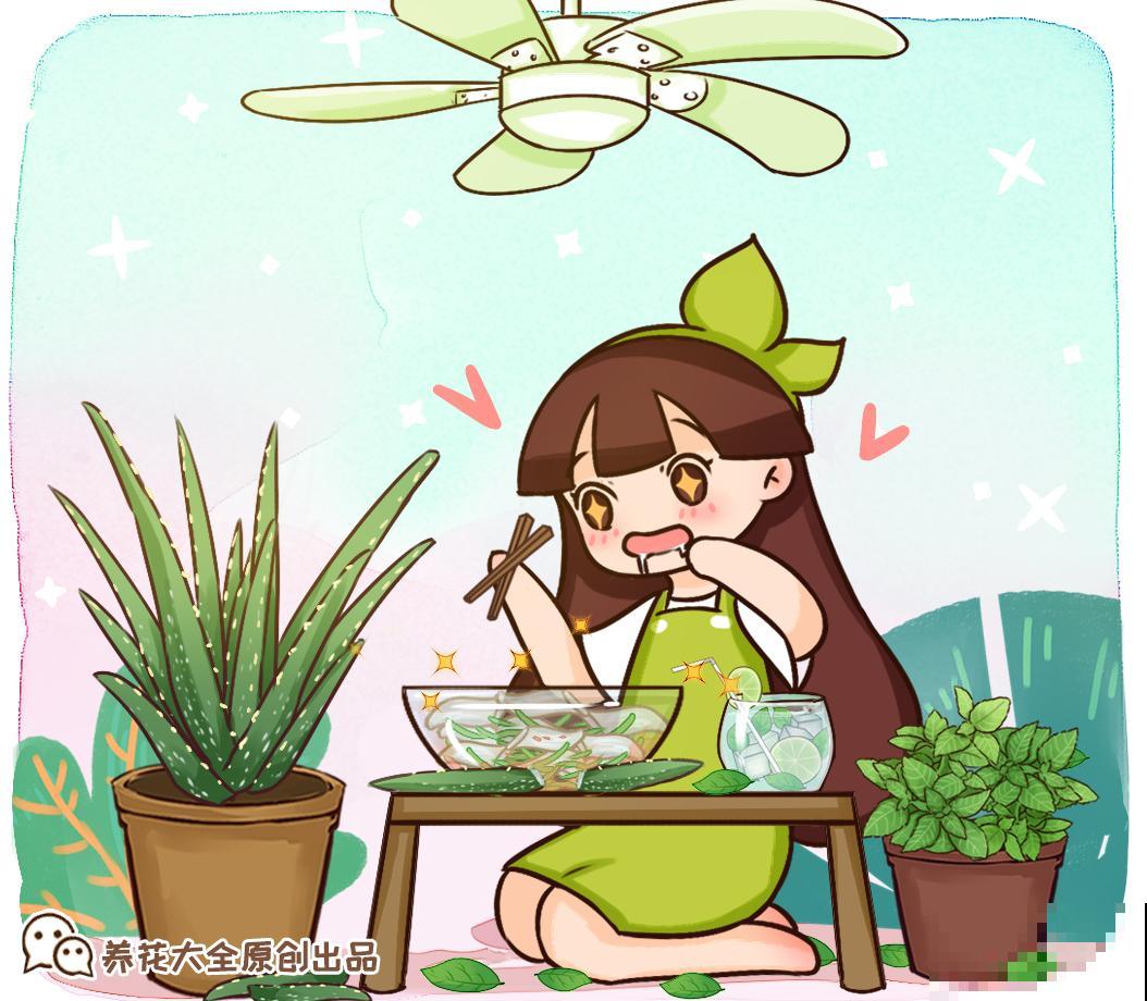 8种花夏天必须养，掐一把炒菜特别香，清热去火不中暑！