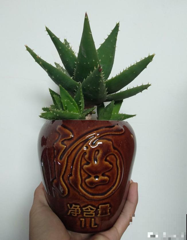 花盆买不起，自己动手做，好看又实用！
