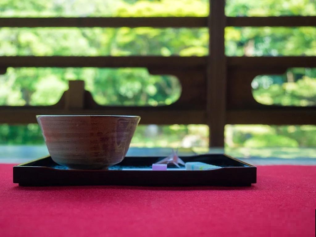 养花人的理想生活：有个小院子，养花喝茶，过两个人的小日子