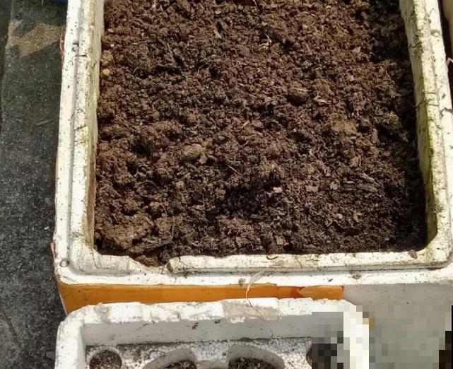 6种自制的有机肥，不花一分钱，开花效果猛翻倍！